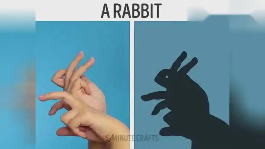 亲子游戏1分钟学会用手影摆出7种小动物手残党也学的会