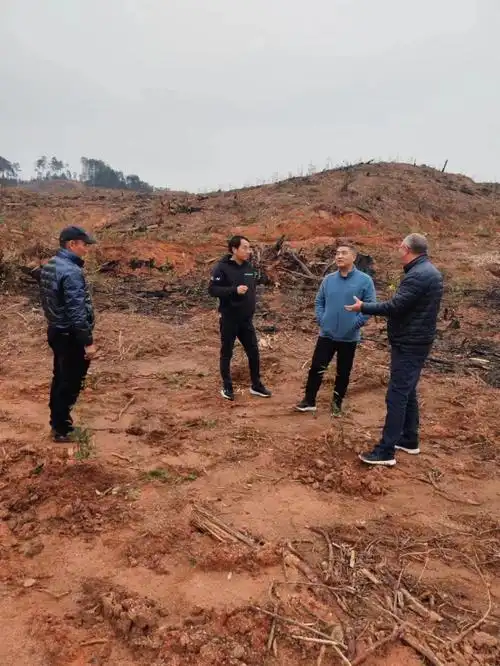 资溪县林业局局长詹晓武赴高阜镇视察督导林业重点工作