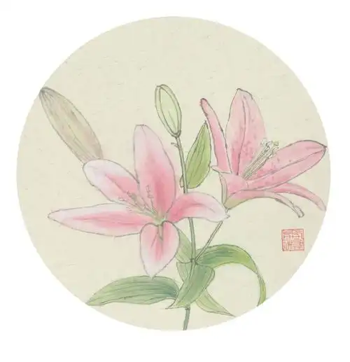 作者张娜萱草花