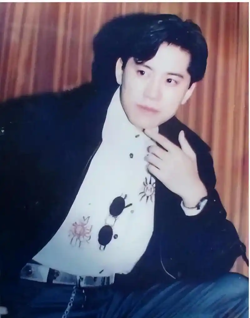 我是歌手毛宁简介资料图片大全大图歌唱演员毛宁简历