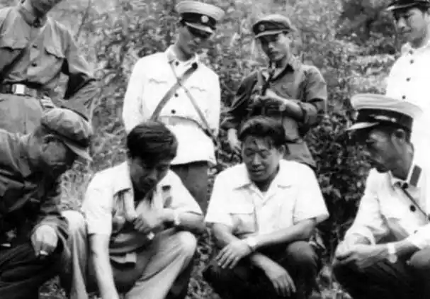 东北二王逃窜6省7个月击毙需三万军民