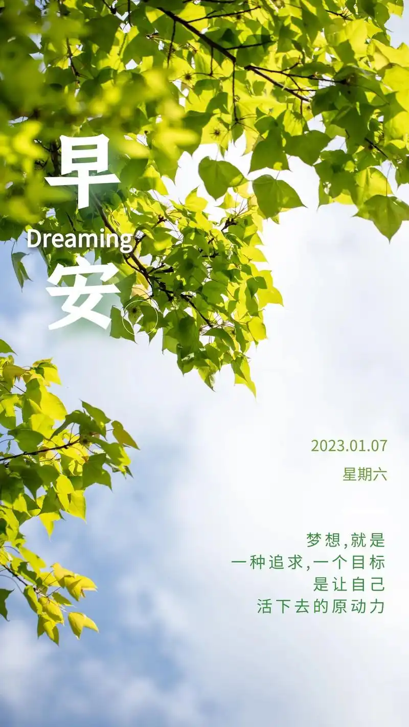 早上好正能量图片文案:勤奋的人会喜欢曙光,努力的人勇敢飞翔