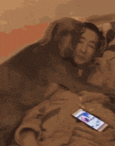 228_291gif 动态图 动图