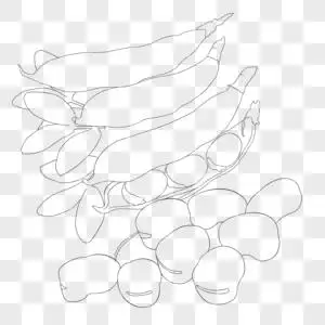 蚕豆简笔画图片