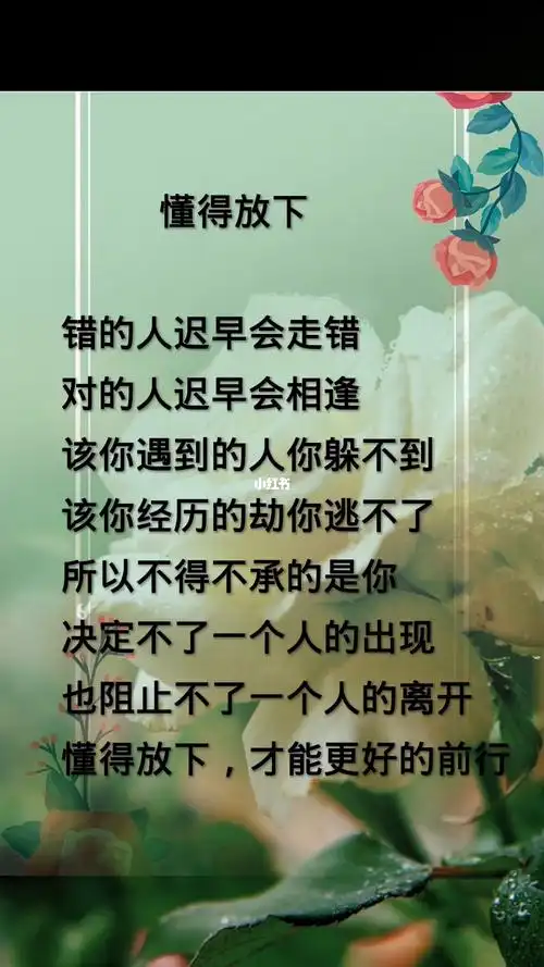 学会放下方能释然一切