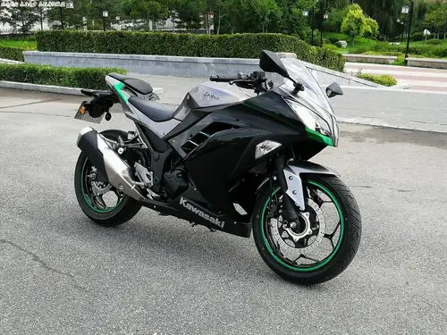 18年大贸川崎小忍者