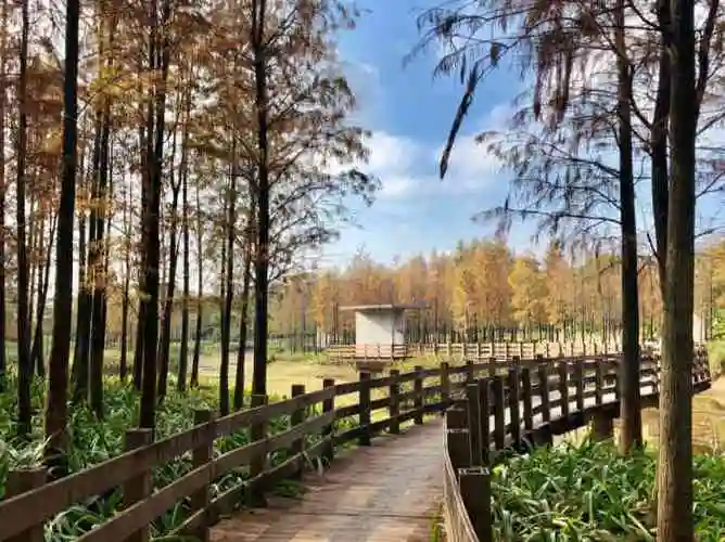 红花岭低碳生态公园-"离家很近的一个公园,挺干净挺新的,只开放.