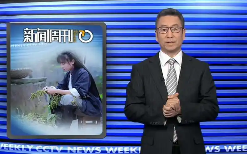 白岩松为李子柒鼓掌:现在我们的问题是李子柒太少了