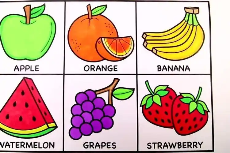 10种不同的水果简笔画素材,初学者,简单实用100种水果简笔画(100000个