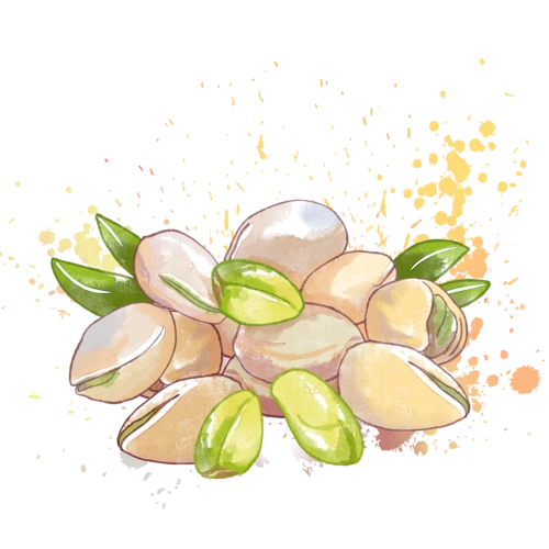 春夏水彩开心果坚果白色零食