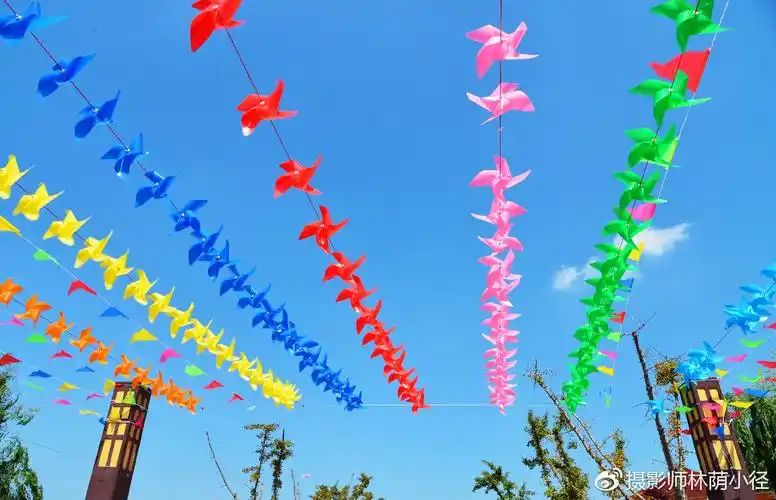 风景如画的上海海湾国际风筝放飞场