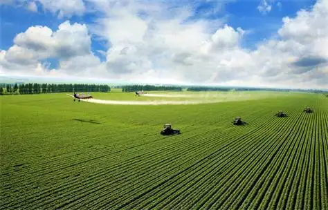 北大荒集团北安分公司:依靠科技创新绘制现代农业新图景_黑龙江_区域