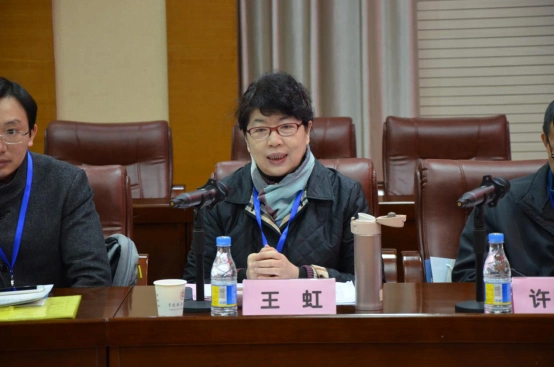 王虹教授讲话