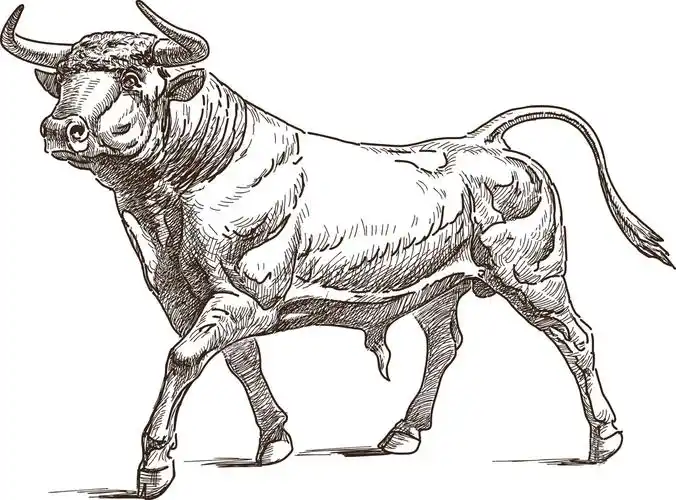 公牛图片_公牛图片大全_全景图片网