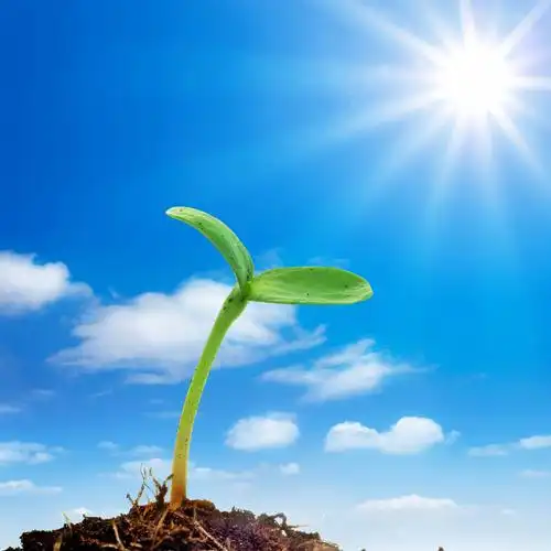 我喜欢阳光下的感觉,唯美,还有一个你