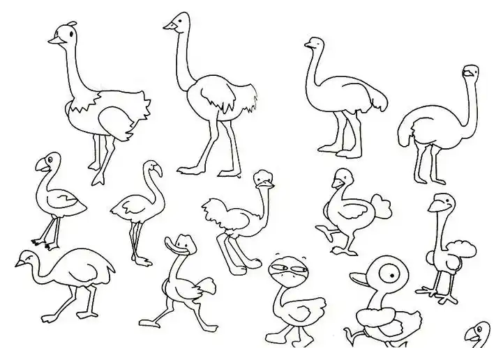 鸵鸟简笔画大全及画法步骤