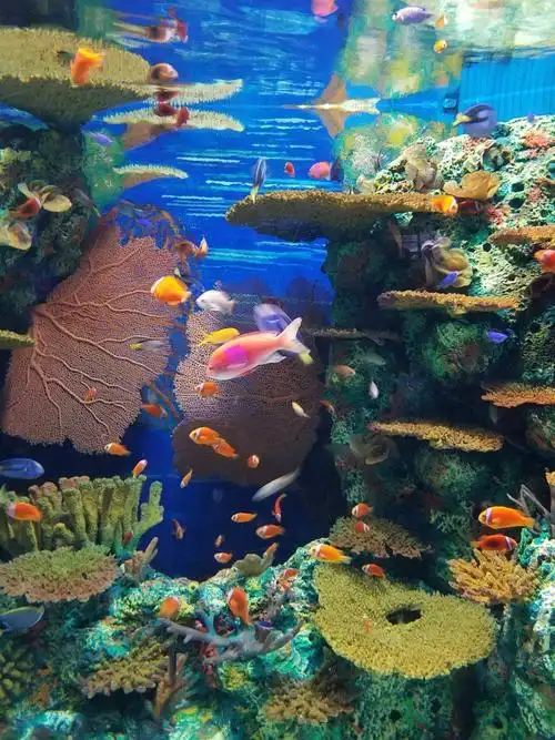 上海海洋水族馆