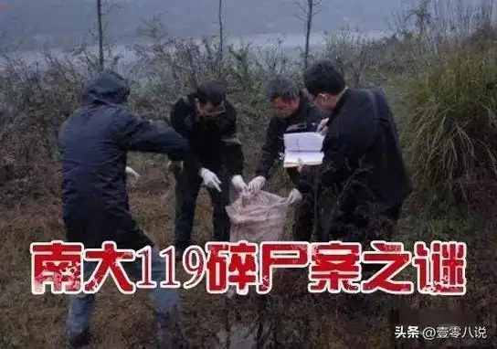 发生在1996年的南大碎尸案,是所有南京大学学生的噩梦,一位同学被残杀