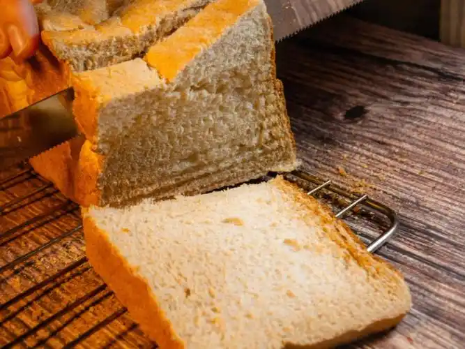 50全麦吐司简单最详细教程