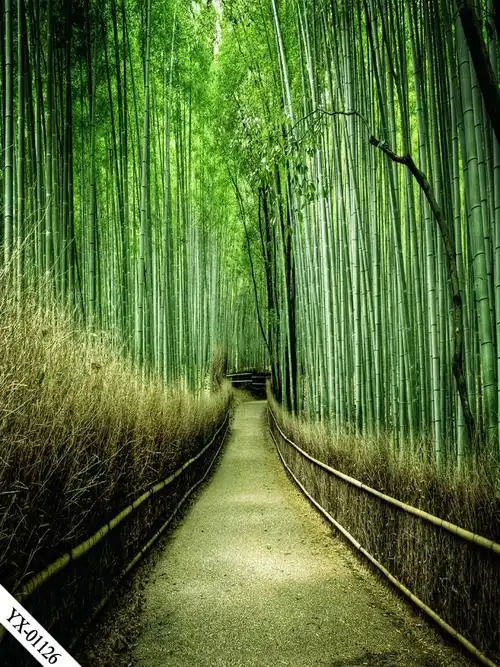 直播背景布3d立体直播间装饰主播竹林山水田园外景快手网红背景墙