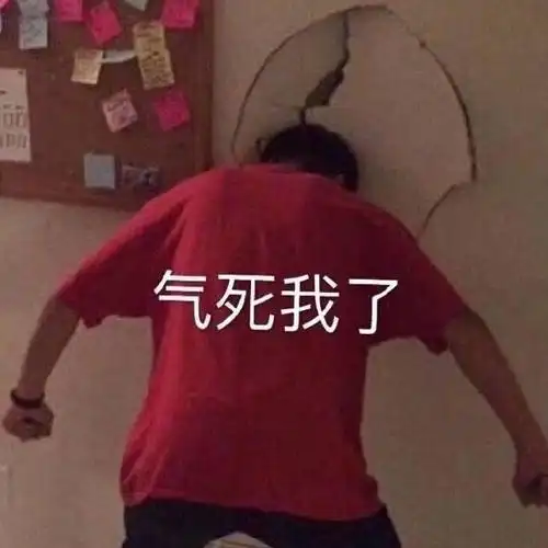气死我了气死我了表情