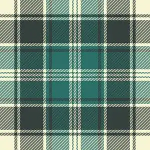 绿色格子织物纹理无缝图案. 矢量图.照片