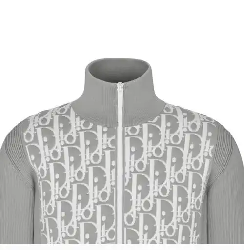 dior homme 迪奥桀骜 男士 服装 21春夏 立领字母logo印花老花夹克