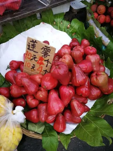 云南之行 -大理