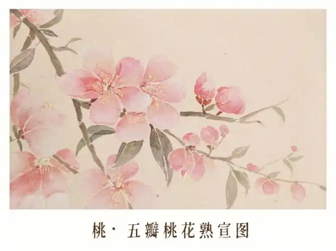 没骨画3100桃花