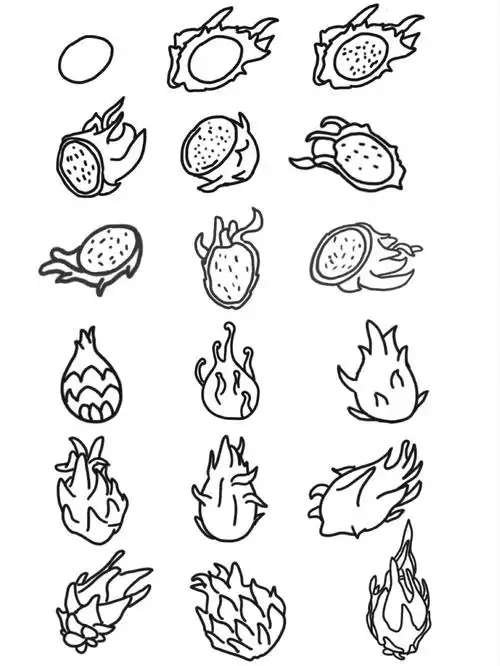 黑白简笔画-火龙果(pitaya)