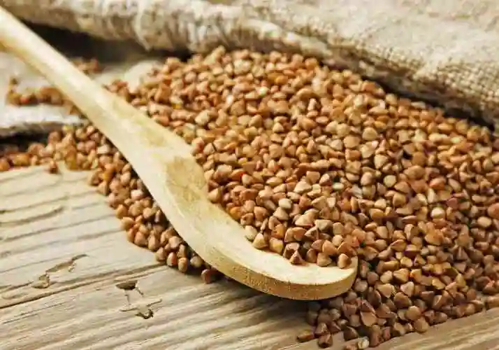 荞麦的营养价值确实很高