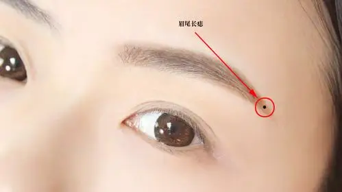 眉尾长痣相学中,将眉毛里长痣的现象称为"草里藏珠",属于大吉大利之相