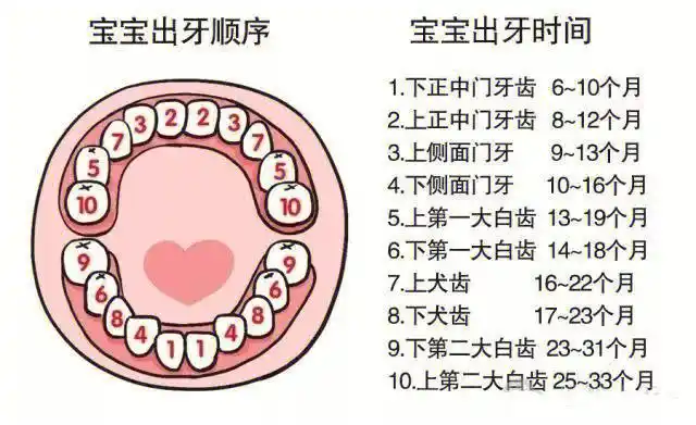 07宝宝出牙早好还是晚好具体症状有哪些