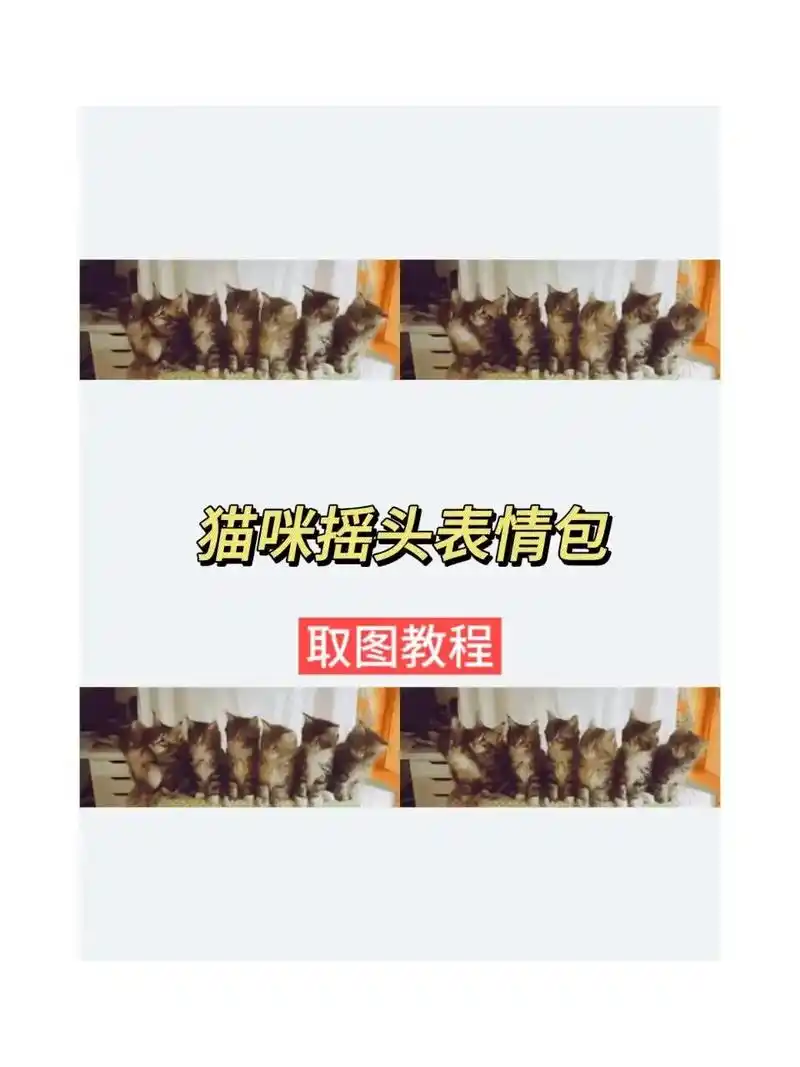 评论区气氛组 小猫拿着荧光棒摇头表 - 抖音