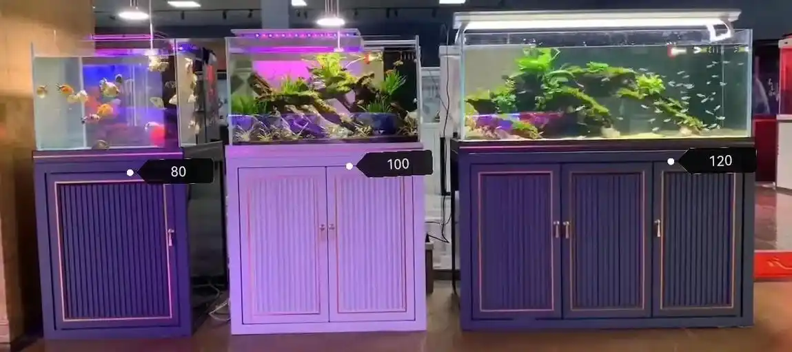 鱼缸定制 #观赏鱼 #锦鲤 #锦鲤池 #龙缸 #锦鲤鱼池  - 抖音