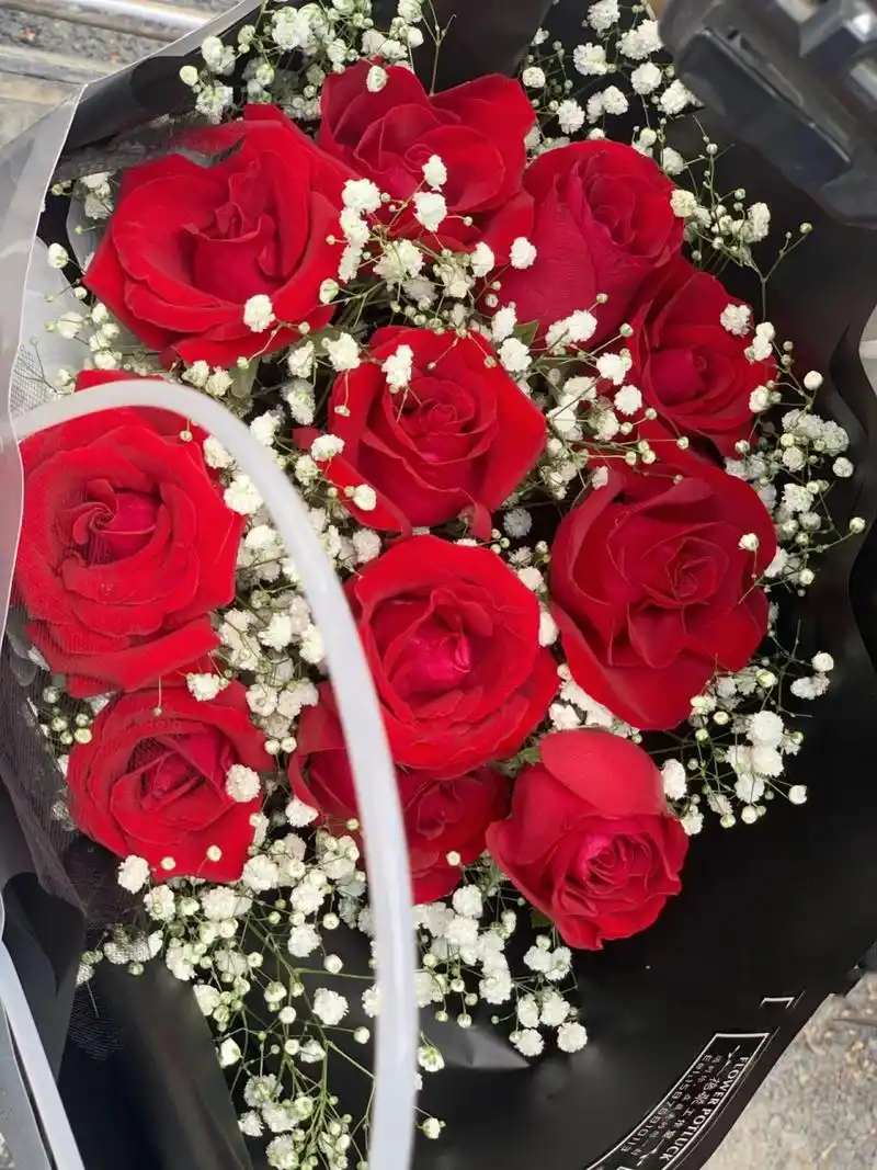 11支红玫瑰满天星花束 你遇见的每个人都因你而来