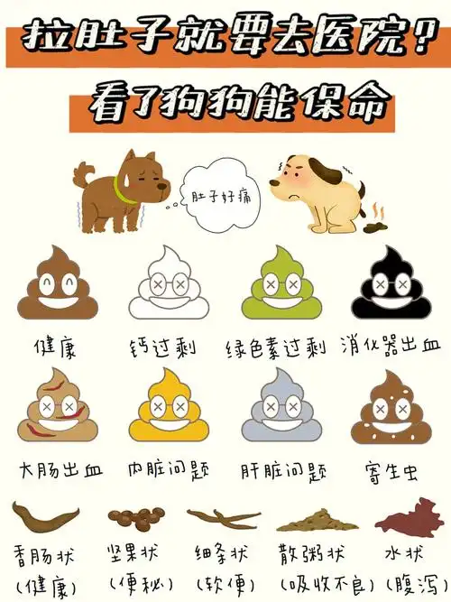 宠物|教你从狗狗便便颜色形状了解健康状态