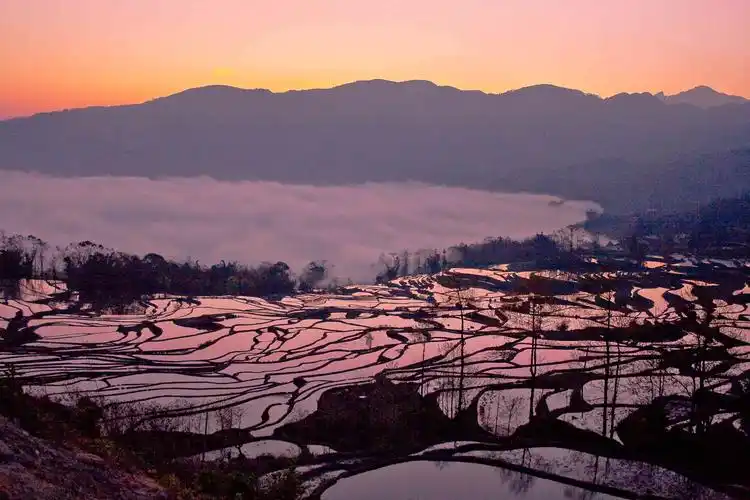 元阳梯田(一)