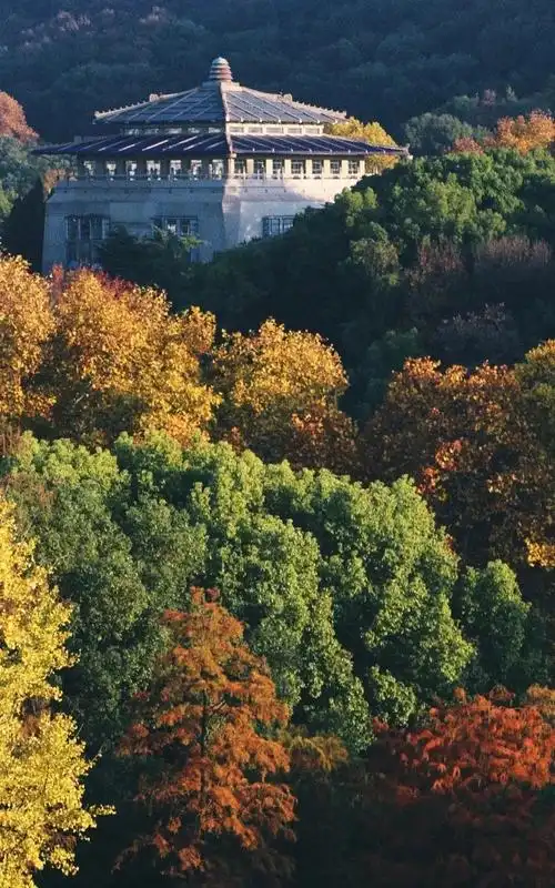特稿珞珈山的秋天和我们的金秋梦