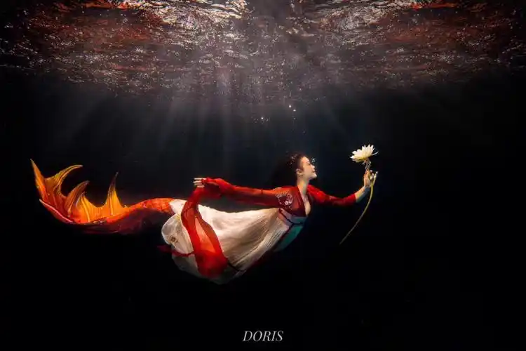 美人鱼陌上花开可缓缓归矣