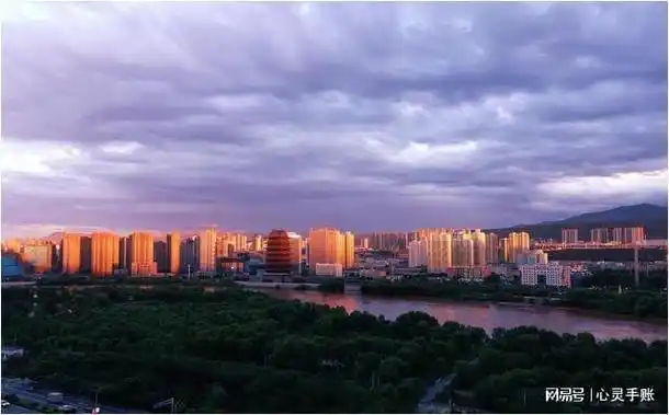 春节去了趟兰州,被当地人吓到了,兰州人的素质,让我大开眼界|佳茗|牛