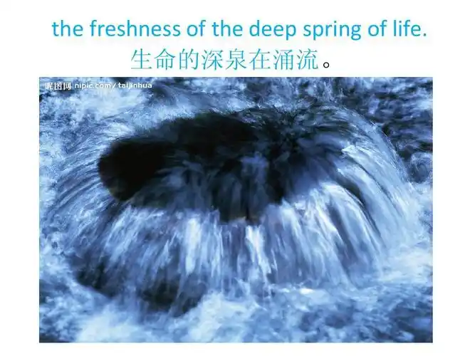 生命的深泉在涌流.