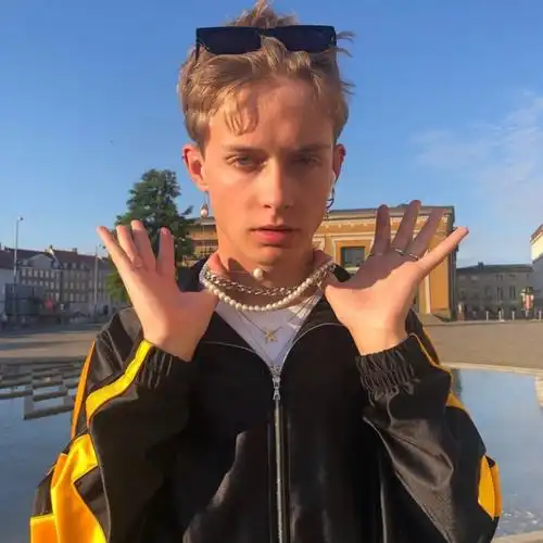 欧美头像男/wild boys/来自ins自截/swing!【cool】