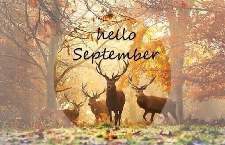hello september