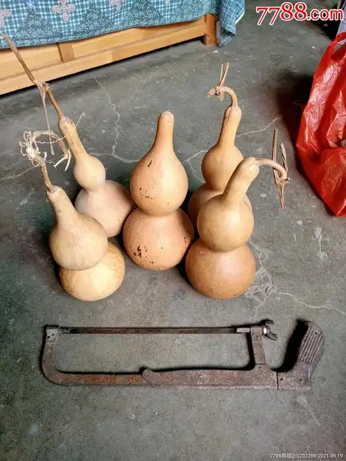 葫芦籽陈年的葫芦籽