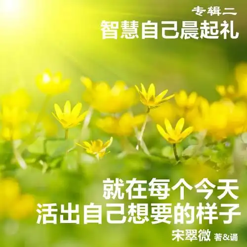 2.7晨起礼《就在每个今天,活出自己想要的样子》宋翠微著&诵