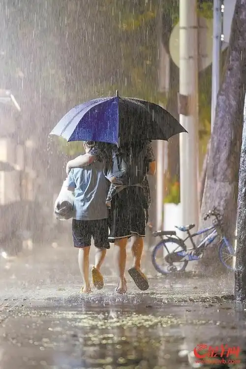 大雨中,同行人在伞下依偎前行 羊城晚报全媒体记者 梁喻 摄