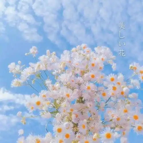 ins背景图没有人会消失大家都只跟想念的人联系