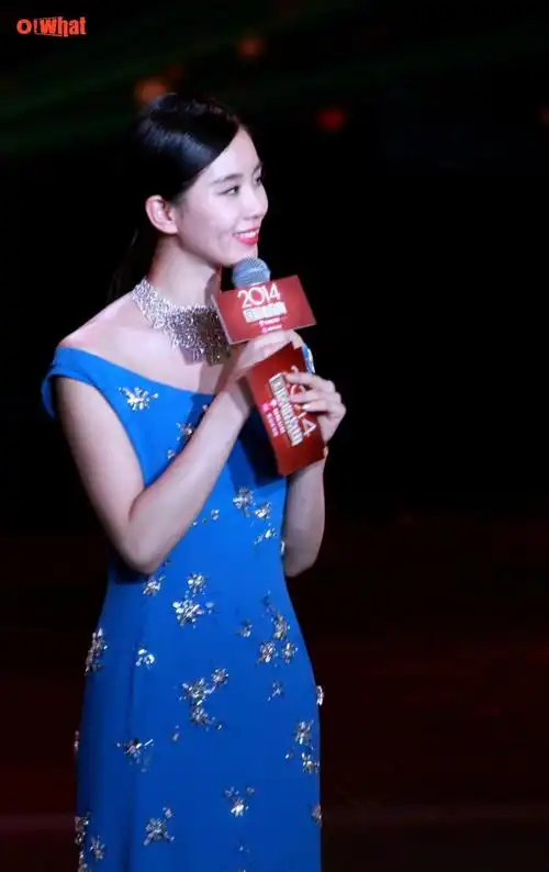 2014国剧盛典录制