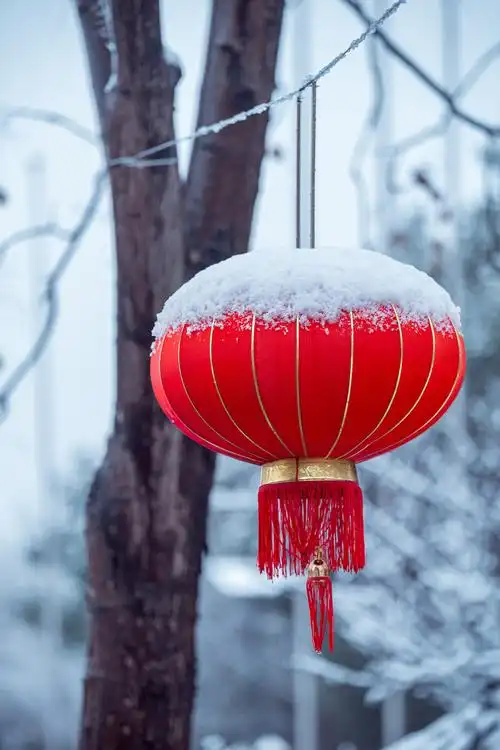雪中红灯笼